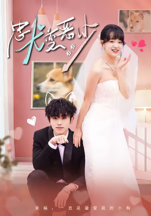 《忠犬变恶少》（80集）免费短剧全集任你观赏