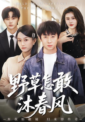 《野草怎敢沐春风》（61集）在线看短剧精彩剧情不断