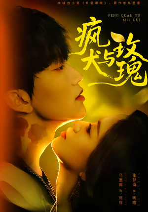 《疯犬与玫瑰》（80集）热门短剧免费在线追