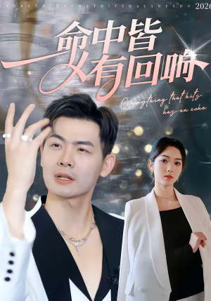 《命中皆有回响》（62集）在线短剧全集精彩看