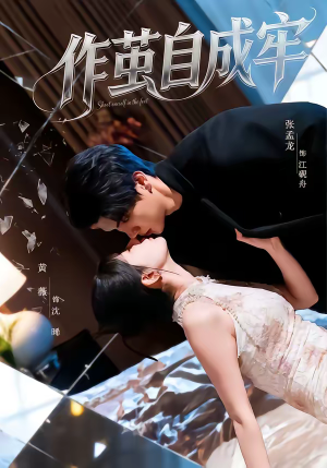 《作茧自成牢》（52集）看短剧一集接一集超上瘾