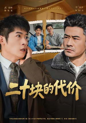 《二十块的代价》（64集）热门短剧免费在线观