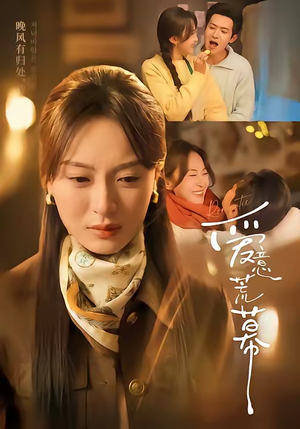 《爱意荒幕》（70集）热门短剧全集畅快追