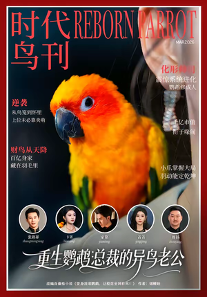 《重生鹦鹉：总裁的异鸟老公》（80集）畅享短剧全集欢乐时光