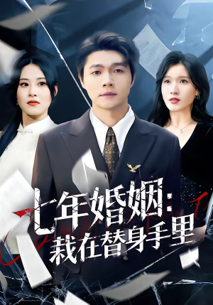 《七年婚姻：栽在替身手里》（80集）热门短剧在线追