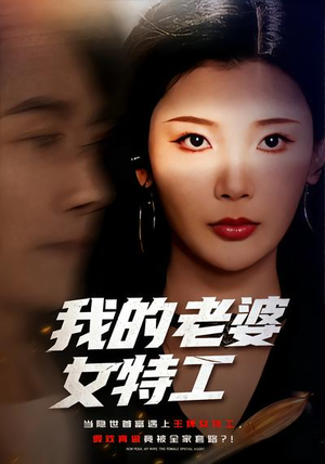 《我的老婆女特工》（62集）短剧精彩剧情在线看不停