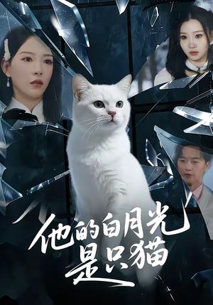 《他的白月光是只猫》（69集）爆款短剧在线看个不停