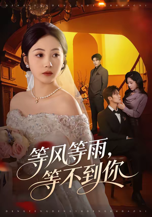 《等风等雨，等不到你》（65集）短剧全集在线畅快看