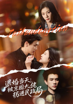 《退婚当天：被京圈大佬拐进民政局》（80集）免费畅享短剧全集