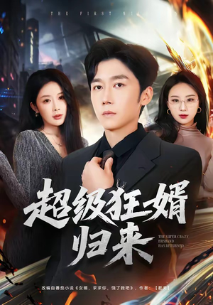超级狂婿归来（81集）免费短剧全集看