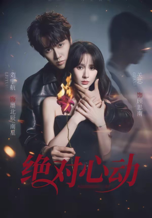 绝对心动（66集）一口气追完全集
