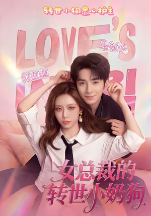 《女总裁的转世小奶狗》（30集）看短剧感受别样甜蜜