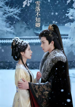 《雪落不知卿》（62集）热门短剧在线一追到底