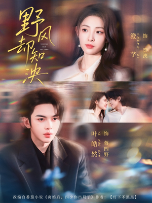 《野风却知泱》（80集）热门短剧在线尽情看