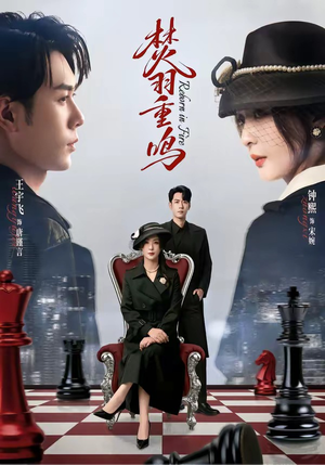 《焚羽重鸣》（60集）短剧免费全集在线追看