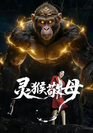 《灵猴敬母》（50集）全集短剧在线追温情相伴