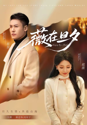 《薇在旦夕》（80集）免费短剧完整版在线追