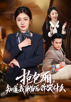 抢包厢，知道我身份后你哭什么（70集）精彩短剧热播