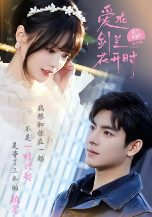 爱在剑兰花开时(56集) 爱在剑兰花开时(56集)免费全集短剧