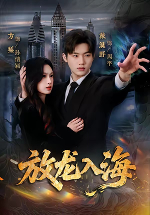 放龙入海（62集）剧情简介