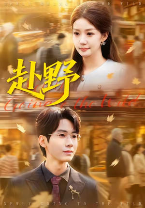 赴野（40集）精彩短剧又来了