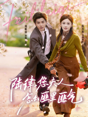 《陆律，您夫人怎么匪里匪气》（60集）短剧全集免费畅快追