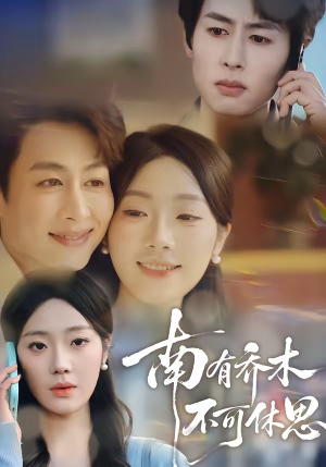 《南有乔木，不可休思》（68集）短剧完整版在线畅快看