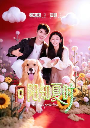 向阳知夏时（80集）短剧更新抢先看