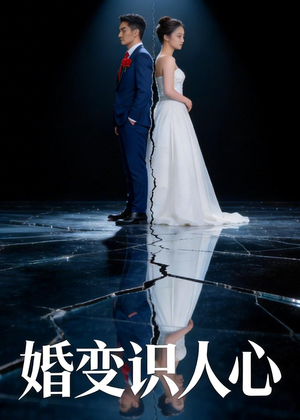 婚变识人心（54集）免费短剧看不停