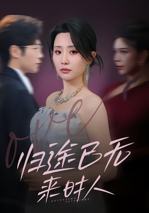 归途已无来时人（70集）热门短剧分享