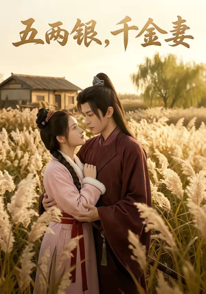 五两银，千金妻（60集）真的太精彩了