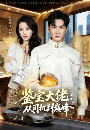 鉴宝大佬： 从司机到巅峰（80集）视频在线看