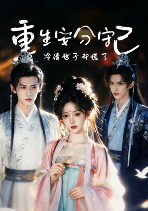 重生安分守己（13集）一口气看完