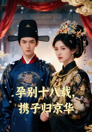 孕别十八载，携子归京华（76集）免费版