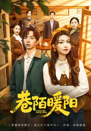 巷陌暖阳（80集）热门短剧推广