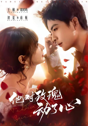 《他对玫瑰动了心》（68集）在线看短剧全集不停歇