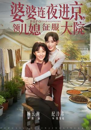 《婆婆连夜进京，领儿媳征服大院》（78集）在线短剧精彩全集看