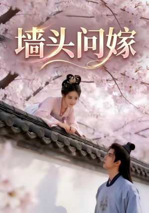 墙头问嫁（29集）每日短剧推荐