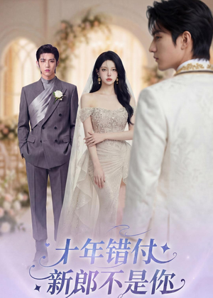 十年错付，新郎不是你（51集）高清画质免费看