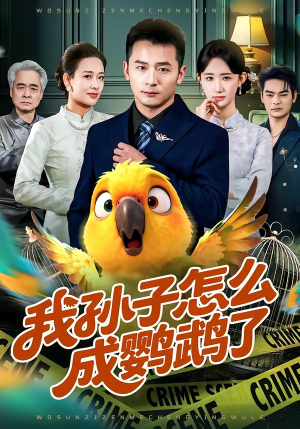 《我孙子怎么成鹦鹉了》（71集）爆笑短剧全集在线欢乐看