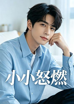 小小怒燃（19集）不用花钱看全剧