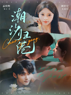 《潮汐归港》（66集）畅享短剧全集在线追剧