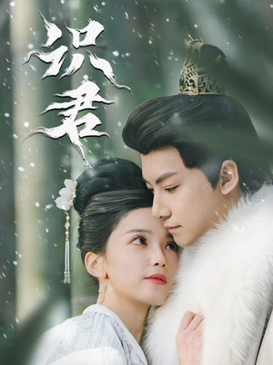 识君（59集）直接追到结尾